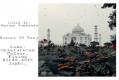 IIP Online Student Photography